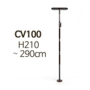 CV100