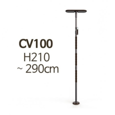 CV100